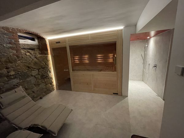 Sauna ze szwajcarskiej sosny z prysznicem